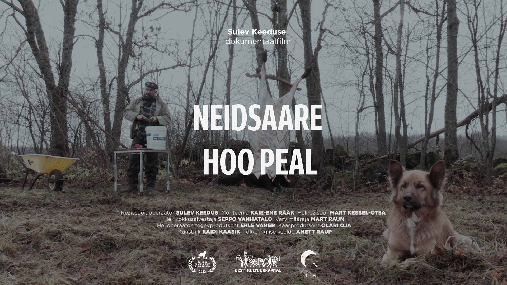 „Neidsaare hoo peal“